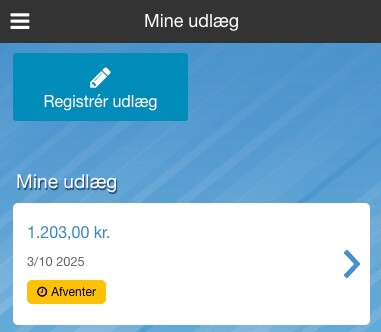 Udlægoversigt